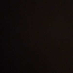 Meet your Posher, Zach